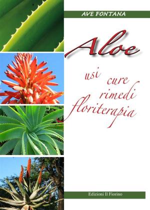 Cover of the book Aloe by Andrea Righi