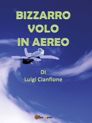 Book cover of Bizzarro volo in aereo
