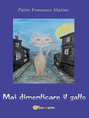 Cover of the book Mai dimenticare il gatto by Emily Brontë