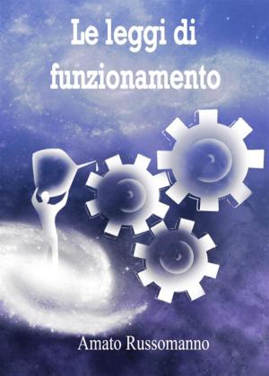 Cover of the book Le leggi di funzionamento by Antonio Rainone