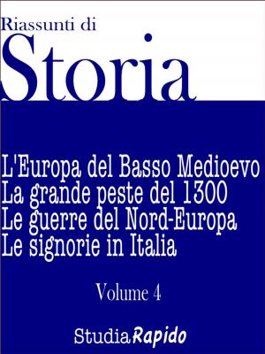 Book cover of Riassunti di Storia - Volume 4