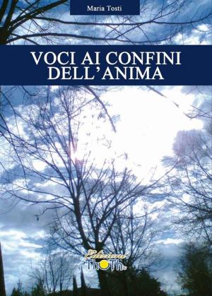Cover of the book Voci ai confini dell'anima by 方群