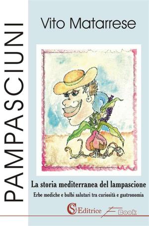 Cover of the book Pampasciuni by Davide Ferrante