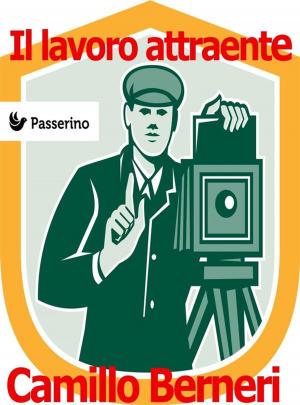 Cover of the book Il lavoro attraente by Passerino Editore