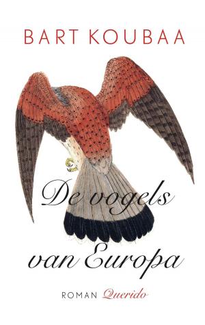 Cover of the book De vogels van Europa by Thomas Dekker
