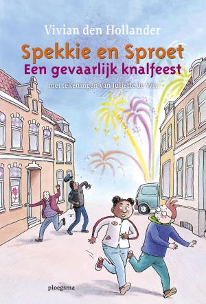 Cover of the book Een gevaarlijk knalfeest by Rindert Kromhout