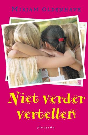 Cover of the book Niet verder vertellen by An Rutgers van der Loeff