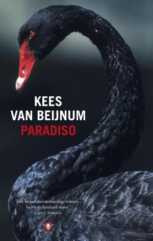 Cover of the book Paradiso by Corine Hartman