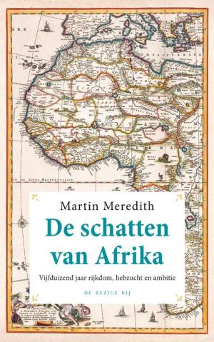 Cover of the book De schatten van Afrika by Gerrit Komrij