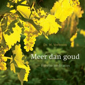 Cover of the book Meer dan goud by Nico van der Voet