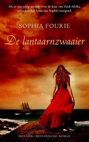 Cover of the book De lantaarnzwaaier by Anke de Graaf