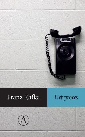Cover of the book Het proces by Deborah Feldman