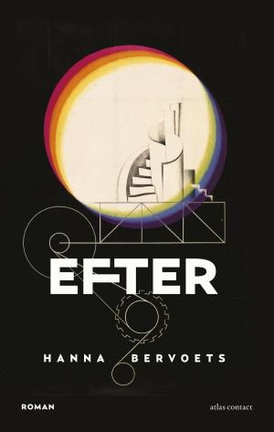 Cover of the book Efter by Wessel Berkman, Bart de Groot, Suzanne Franken