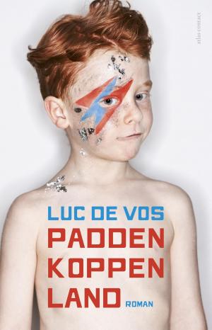 Cover of the book Paddenkoppenland by Mensje van Keulen