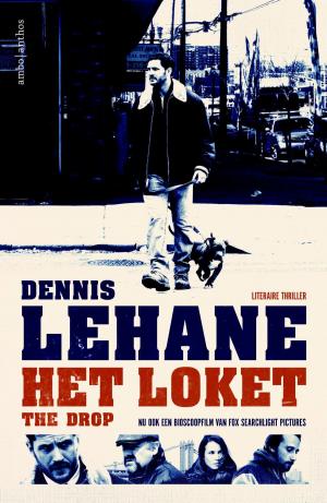 Cover of the book Het loket by A.E. Davis