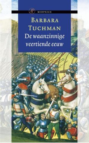 Cover of the book De waanzinnige veertiende eeuw by Anna Enquist