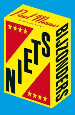 Cover of the book Niets bijzonders by Atte Jongstra