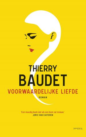 Cover of the book Voorwaardelijke liefde by Pieter Jouke