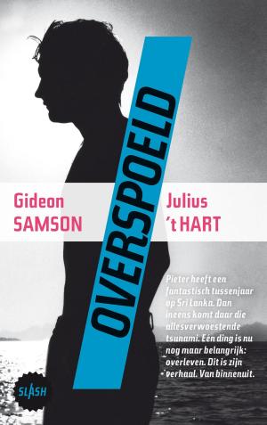 Cover of the book Overspoeld by Guus van Holland, Raf Willems