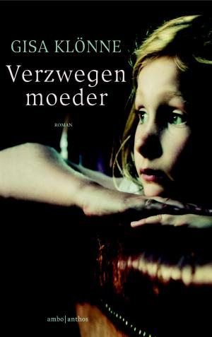 Book cover of Verzwegen moeder