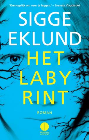 Cover of the book Het labyrint by Heidi Aalbrecht