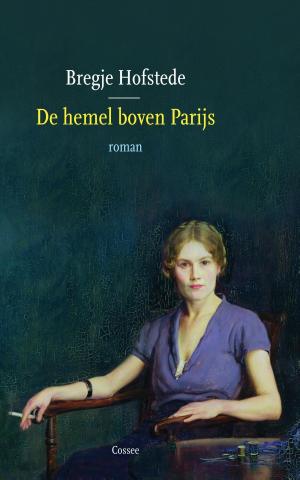 Book cover of De hemel boven Parijs