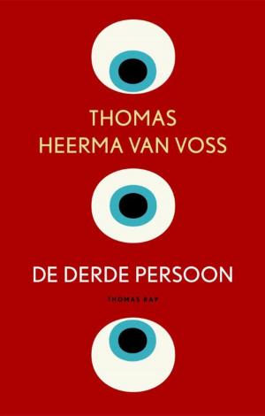 Cover of the book De derde persoon by Stefan Hertmans