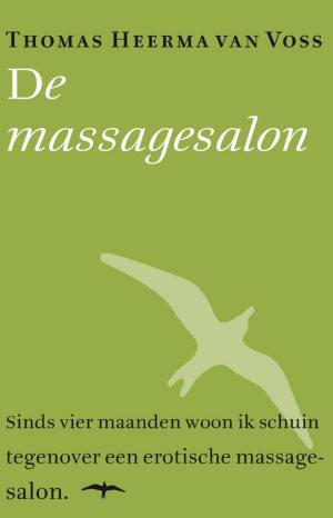 Book cover of De massagesalon