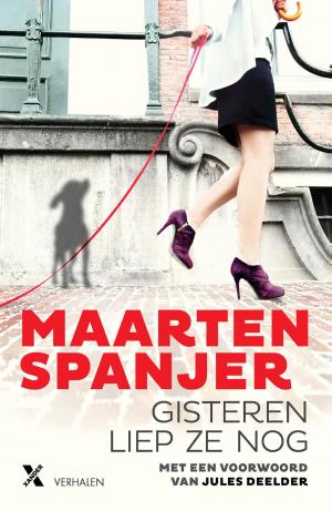 Cover of the book Gisteren liep ze nog by Mons Kallentoft