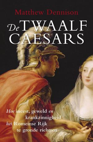 Cover of the book De twaalf Caesars by A.C. Baantjer