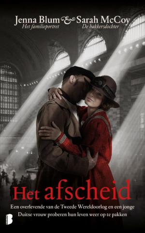Cover of the book Het afscheid by Samantha Stroombergen