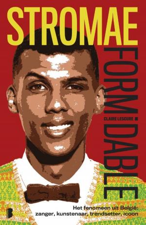 Cover of the book Stromae: Formidable by Anna Todd