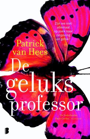 Cover of the book De geluksprofessor by John Rechy