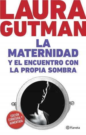 Cover of the book La maternidad y el encuentro con la propia sombra by Elisabeth G. Iborra