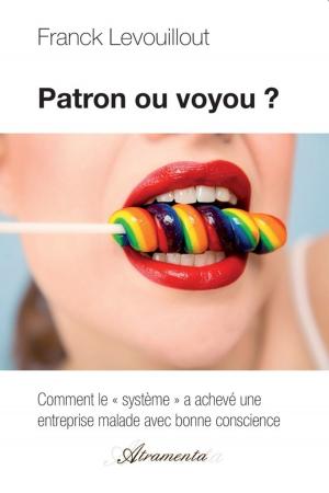 Cover of the book Patron ou voyou ? by Hervé-Léonard Marie