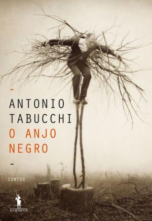 Book cover of O Anjo Negro