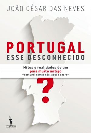 Cover of the book Portugal, Esse Desconhecido by Miguel Real