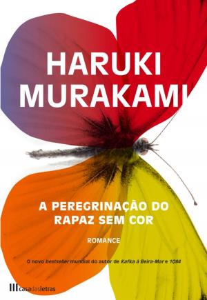 Cover of A Peregrinação do Rapaz Sem Cor