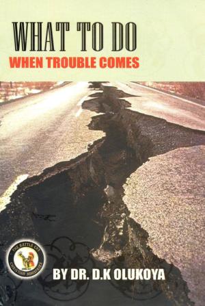 Cover of the book What To Do When Trouble Comes by Dr. D. K. Olukoya