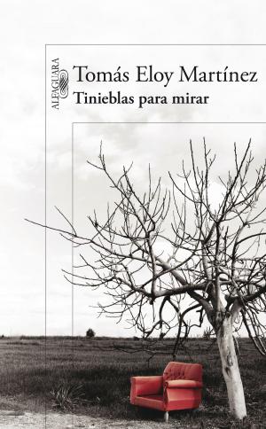 Cover of the book Tinieblas para mirar by Federico Finchelstein