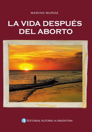 Cover of the book La vida después del aborto by M. B. Auri
