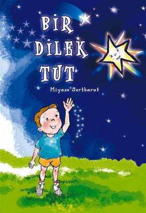 Book cover of BİR DİLEK TUT