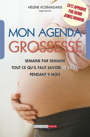 Cover of the book Mon agenda grossesse by Sabine Wojtas, Laurent Faraud