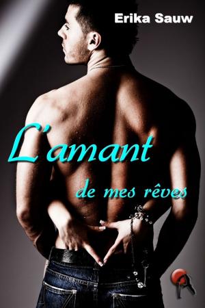 Cover of the book L'amant de mes rêves by Pierrette Lavallée