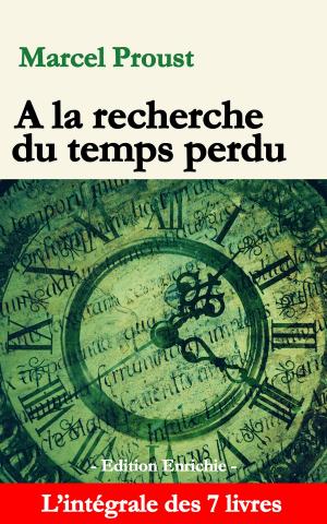 Book cover of A la recherche du temps perdu (Edition enrichie)