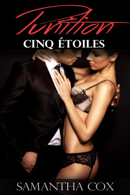 Cover of the book Punition Cinq étoiles by Samantha Cox, Black Lilith Books