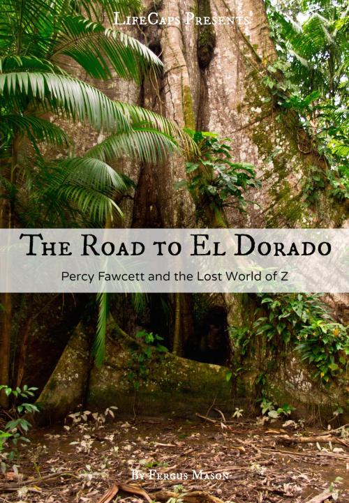 Cover of the book The Road to El Dorado by Fergus Mason, BookCaps Study Guides