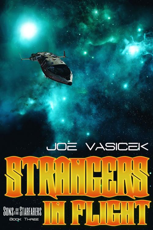 Cover of the book Strangers in Flight by Joe Vasicek, Joe Vasicek