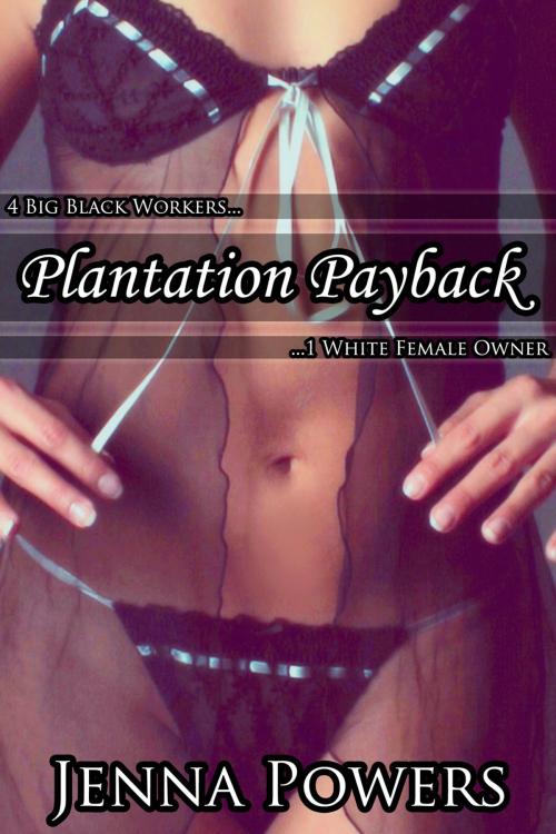 Cover of the book Plantation Payback by Jenna Powers, Jenna Powers