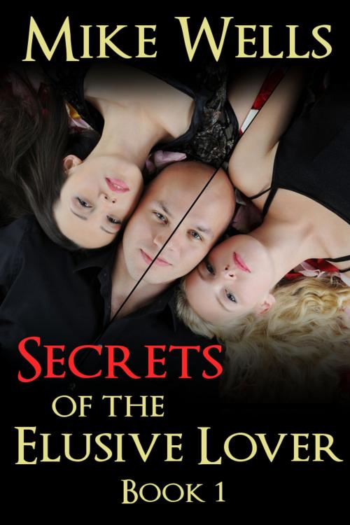 Cover of the book Secrets of the Elusive Lover, Book 1 by Mike Wells, Mike Wells Books
